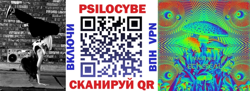 Галлюциногенные грибы Psilocybe  Купить где  Кушва 